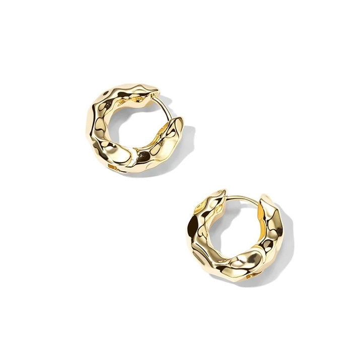 Gold Planted Irregular Geometric Earring